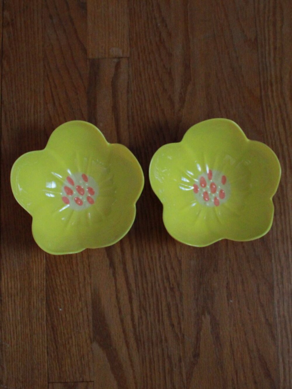 Pair of Spritz Flower Themed Plastic Bowls